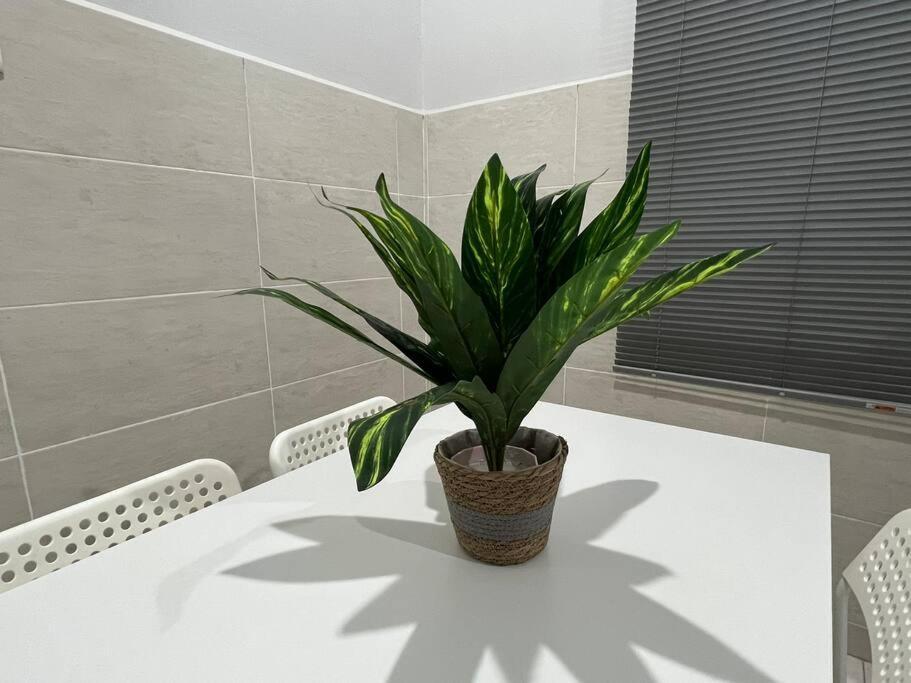 D'Sara Homestay Fully Furnished 3 Bedrooms All Aircond 2 Miles Centre Chukai Exteriér fotografie